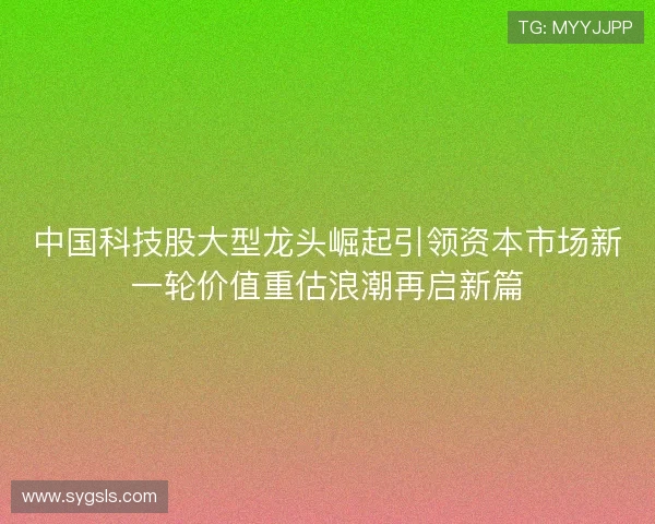 中国科技股大型龙头崛起引领资本市场新一轮价值重估浪潮再启新篇 中国科技股大型龙头崛起引领资本市场新一轮价值重估浪潮再启新篇