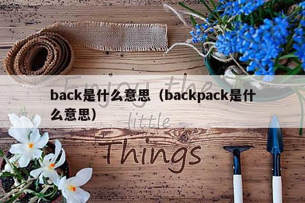 back是什么意思（backpack是什么意思）-第1张图片-长宁号